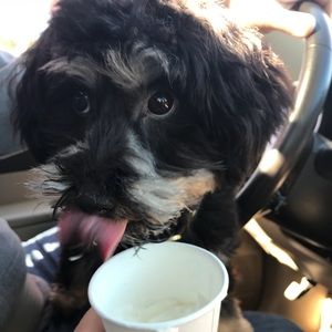 Meet your Posher, Marissa